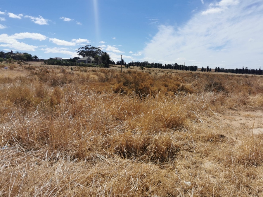  Bedroom Property for Sale in Moorreesburg Western Cape